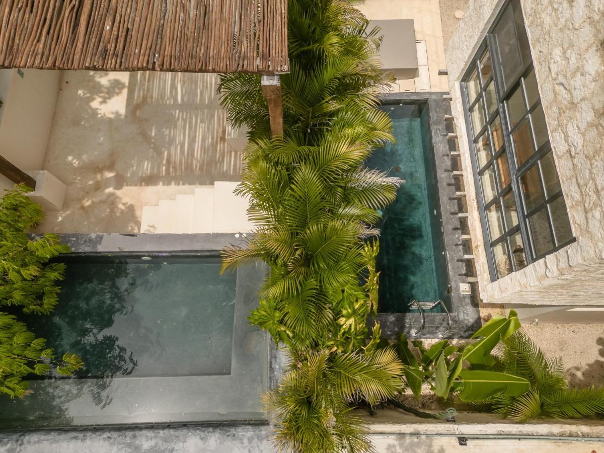 Villa New Aura Jungle Getaway Tulum Esterno foto