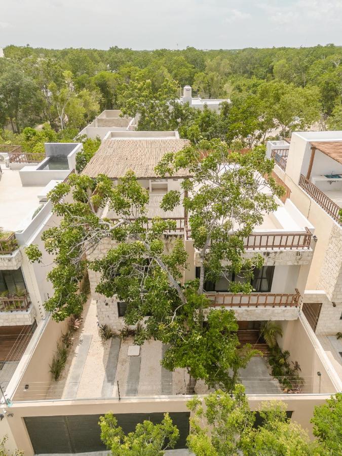 Villa New Aura Jungle Getaway Tulum Esterno foto